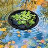 Float Net Island Fiorter Protector Water Planting per l'agricoltura per la
