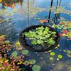 Float Net Island Fiorter Protector Water Planting per l'agricoltura per la
