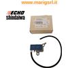 ECHO Bobina modulo di accensione per decespugliatore SRM 420 TESL originale ECHO