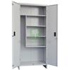 UTENSILERIA 1PZ ARMADIO PORTASCOPE 2 ANTE 60X40XH179 CM IN KIT: