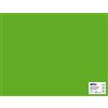 APLI 014266 Cartone, Verde Erba, 500 mm x 650 mm