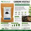 erbologica amazonas andes Carbone vegetale polvere uso alimentare, ridurre la flatulenza, disintossicanti