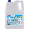 Amacasa Candeggina 5000 Ml. Amacasa