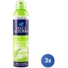 Felce Azzurra 3x Felce Azzurra Spray Per Ambienti Giardino Zen 250 Ml