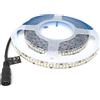 Univers STRISCIA 1200 LED LUCE BIANCA CALDA NATURALE BOBINA STRIP 5 METRI 2835 SMD