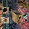 Window Bird House per un piccolo nido di uccelli esterni per colibrì