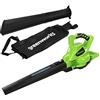 Greenworks Tools Aspiratore Soffiatore Foglie a Batteria 2 in 1 GD40BV, Li-Ion 4