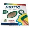 Giotto CF24PASTELLO GIOTTO DI NATURA ASSOR