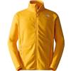 THE NORTH FACE Felpa da uomo 100 Glacier