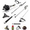 Alpina Multiutensile Alpina AMT 26 5 in 1 Decespugliatore Tagliasiepi Motosega 25 cc