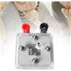 Exchangemembrane PEM Hydrogen Full Cell Celone con insegnante di adolescenti