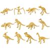 SCSpecial 12 pezzi Fossili di dinosauro per bambini Ossa di dinosauro S