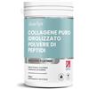 VitaBright Collagene Integratore Polvere 500g/50 Dosi Peptidi di Collagene Idrolizzato