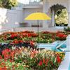 Ombrello vegetale per letti da giardino con baldacchino versatile di palo