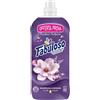 Fabuloso Ammorbidente 585 Ml. Concentrato 25 Lavaggi Magnolia e Lavanda