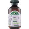 Antica Erboristeria Shampoo Illuminante alla Lavanda per Capelli Normali Formula