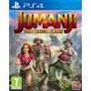 Jumanji: The Video Game (PS4) PlayStation 4 single (PlayStation 4)