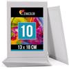 Zenacolor Set di 10 Tele per Dipingere - 100% Cotone Senza Acidi - Tel BC