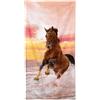 Lovely Home Telo Mare Cavallo in spiaggia spugna cotone cinigliato asciugamano 80x160 cm