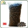 Mignini SEMI DI GIRASOLE CON GUSCIO GRANDI MIGNINI 2KG PER UCCELLI PAPPAGALLI E VOLATILI