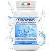 FitoHerbal Collagene Marino Con Acido Ialuronico Coenzima Q10 Potenziato Con Vitamina C B12