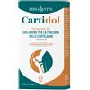 ERBA VITA Integratore Cartilagini Con Glucosamina Collagene Idrolizzato E Acido Ialuronico