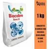 ALFE Verderame biologico ossicloruro di rame 32 fungicida concime fogliare 1 kg