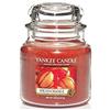 Yankee Candle RARA Yankee Candle Candela in Giara SPICED ORANGE, Giara Grande, Media, Piccola
