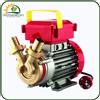 Rover ELETTROPOMPA TRAVASO LIQUIDI POMPA BRONZO ROVER POMPE 25CE - 0.8HP 230V