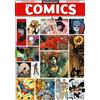 PDA - Planeta De Agostini & DC Comics - WEDNESDAY COMICS - Cartonati - NM+