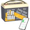 Power Queen 12 V 100 Ah Bluetooth Batteria LiFePO4 con 100 A BMS, bassa autoscarica Low-Temp