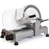 R.G.V. Affettatrice Professionale 110 watt Lama 20 cm Grigio RGV AF 220 AM Desy