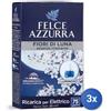 Felce azzurra 3x Felce Azzurra Spina Casa Ricarica Fiori Di Luna
