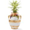Capodimonte Sonda Vaso Ceramica Anfora Portavasi Ceramiche Artistica Capodimonte Vasi da Pavimento