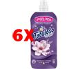 Fabuloso 6 X Fabuloso Ammorbidente 585 Ml. Concentrato 25 Lavaggi Magnolia e Lavanda
