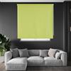 Blindecor Draco Tenda a rullo oscurante - Verde pistacchio, 160 x 230 cm (Larghezza x Altezza) | Dimensioni del tessuto 157 x 225 cm. Tende termiche oscuranti