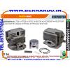 OLEO MAC,EFCO CILINDRO COMPLETO DECESPUGLIATORE OLEO MAC 725 SOFFIATORE BV126 e modelli: ...