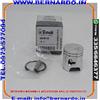 Oleo Mac Efco KIT PISTONE D.34 Orig. OLEO MAC GST250, Efco MTT2500
