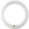 SYLVANIA Lampadina Ricambio per Zanzariera Neon 32W/BL350 MO-EL 368-G Insectivoro MOEL