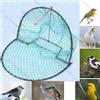 Trappola per uccelli da 40 cm, cattura vivi, rete trappola Trampa piccione D