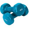 dfh COPPIA 2 MANUBRI PESI DA PALESTRA MANUBRIO PESETTI PER FITNESS BILANCIERE 4.0KG