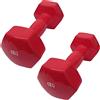 dfh COPPIA 2 MANUBRI PESI DA PALESTRA MANUBRIO PESETTI PER FITNESS BILANCIERE 6.0KG