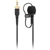 Rode Lavalier II Mod. 400600029 EAN 0698813008445