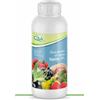 CISA ADRIATICA CONCIME CE con MICROELEMENTI OSSICLORURO DI RAME LIQUIDO 20% MANGANESE CISA 1KG