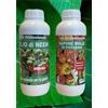 giemmegi OLIO di NEEM insetticida biologico 1 lt+ SAPONE MOLLE DI POTASSIO 1 lt