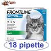 Frontline spot on gatto 1-3-6-9-12-18 pipette antiparassitario per gatti NEW