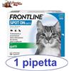 Frontline spot on gatto 1-3-6-9-12-18 pipette antiparassitario per gatti NEW
