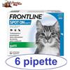 Frontline spot on gatto 1-3-6-9-12-18 pipette antiparassitario per gatti NEW