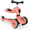 Scoot&Ride MONOPATTINO SCOOT & RIDE TRASFORMABILE 2-1 HIGHWAYKICK 1 - PESCA - 1-5 ANNI