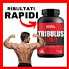 Genesis INTEGRATORE SESSUALE TRIBULUS TERRESTRIS per testosteron aumento erezione uomo ✅